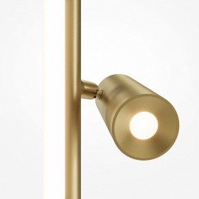 Торшер Maytoni Thin MOD395FL-L28BS3K в Челябинске - cheliabinsk.ok-mebel.com | фото 5