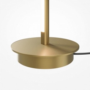 Торшер Maytoni Thin MOD395FL-L28BS3K в Челябинске - cheliabinsk.ok-mebel.com | фото 7