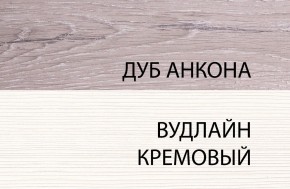 Тумба 2D3S, OLIVIA, цвет вудлайн крем/дуб анкона в Челябинске - cheliabinsk.ok-mebel.com | фото 3